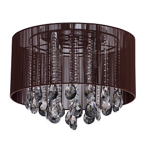 Потолочная люстра MW-Light Жаклин 465014506
