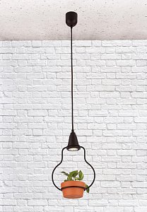 Подвесной светильник Loft IT 6969/1А