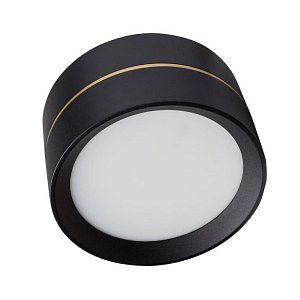 Влагозащищенный светильник LeDron BARREL Black 00000013800