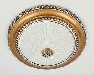 Потолочный светильник Citilux Тренди-2 CL425352