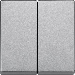 Клавиша двойная Schneider Electric Merten System M MTN433560