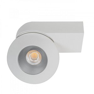 Влагозащищенный светильник LeDron KRIS SLIM White/Grey 00000015166