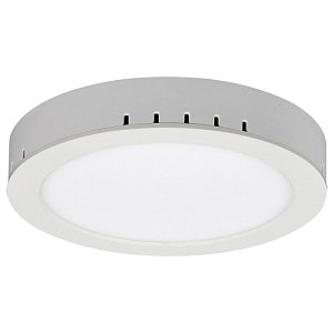 Накладной светодиодный светильник Elektrostandard DLR020 18W 4200K 4690389084560