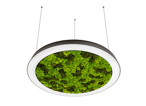 Подвесная люстра Donolux Aura Moss DL800S72WW Moss Black
