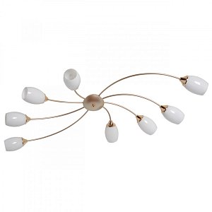 Накладная люстра MW-Light 638016508