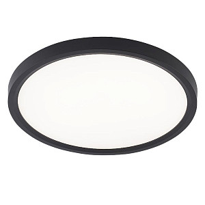 Потолочный светильник Natali Kovaltseva Plain LED LAMPS 81114/2C