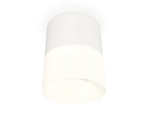 Потолочный светильник Ambrella Light Techno Spot XS8110002 (C8110, N8402)