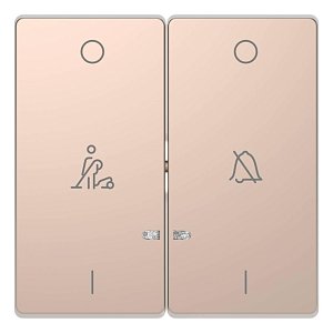 Клавиша двойная Schneider Electric Merten D-Life MTN3429-6051