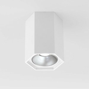 Накладной светодиодный светильник Elektrostandard 25036/LED 4690389176487