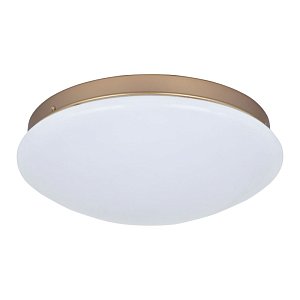 Потолочный светодиодный светильник F-Promo Ledante 2466-2C