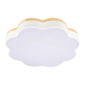 Потолочный светильник Loft IT Axel 10225/36 White