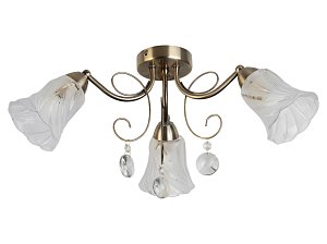 Потолочная люстра Toplight Charla TL7100X-03AB