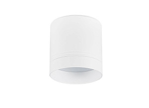 Накладной светильник Donolux Barell DL18484R23N1W