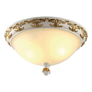 Потолочный светильник Arte Lamp Benessere A9570PL-2WG