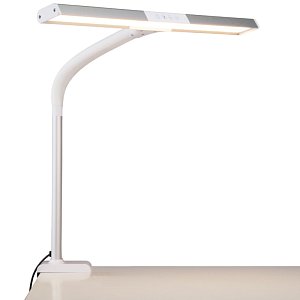 Настольная лампа Eurosvet Designer 80500/1 белый