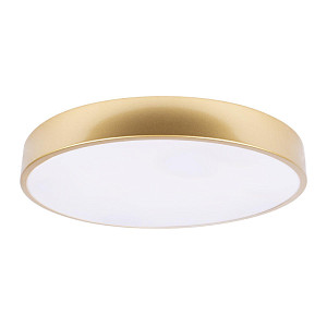 Потолочный светильник Loft IT Flims 10228/A