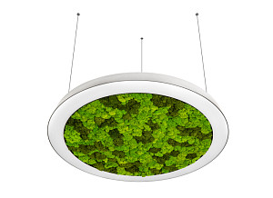 Подвесная люстра Donolux Aura Moss DL800S72NW Moss White