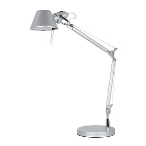 Настольная лампа Arte Lamp 44 A2098LT-1SI