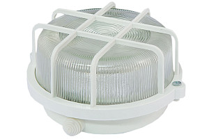 Настенно-потолочный светильник TDM Electric НПП 03-100-005.04 SQ0311-0001