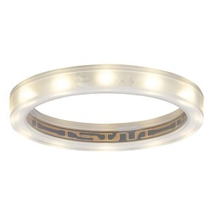 Встраиваемый светодиодный светильник Paulmann Star Line Ring 98863