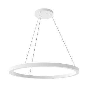 Подвесной светильник Ledron Ring Line R800 White 00000017394