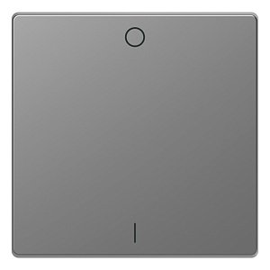 Клавиша одинарная Schneider Electric Merten D-Life MTN3301-6036