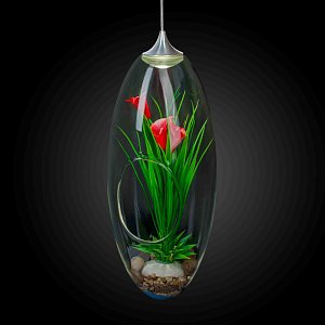 Фитосветильник Apeyron FT-21