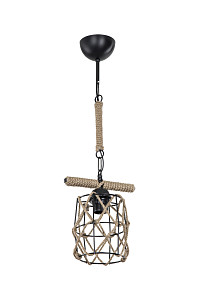 Подвесной светильник Toplight Caryl TL1647H-01GK