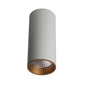 Влагозащищенный светильник LeDron SLC7392/12W-WG 00000014601