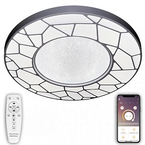 Потолочный светильник Natali Kovaltseva LED LAMPS 81108