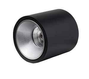 Влагозащищенный светильник LeDron RINBOK Black/Grey 00000018208