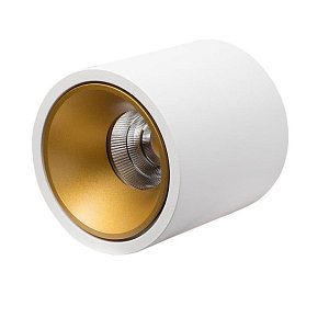 Влагозащищенный светильник LeDron RINBOK White/Gold 00000017856