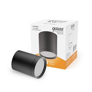 Потолочный светодиодный светильник Gauss Overhead HD014
