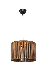 Подвесной светильник Toplight Bridgette TL1657H-01ND