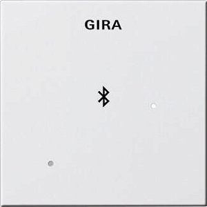 Лицевая панель Gira System 55 для вставки док-станции чисто-белый глянцевый 228803