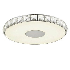 Потолочный светодиодный светильник ST Luce Impato SL821.102.01