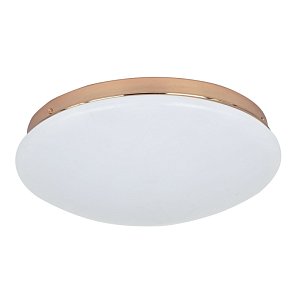 Потолочный светодиодный светильник F-Promo Ledante 2465-2C