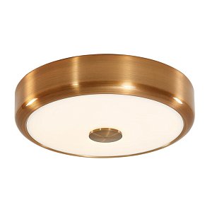 Потолочный светодиодный светильник Citilux Фостер-1 CL706122