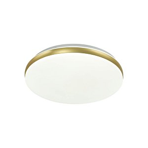 Настенно-потолочный светильник Sonex Ringo 7626/EL