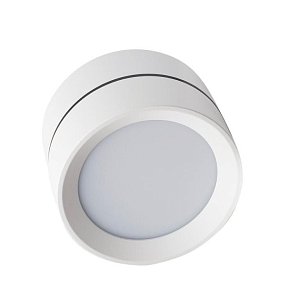 Влагозащищенный светильник LeDron BARREL MINI White 00000013797