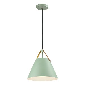 Подвесной светильник Odeon Light Berni 4143/1