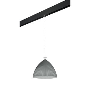 Трековый светильник Lightstar Agola PRO810031 (810031+595007)