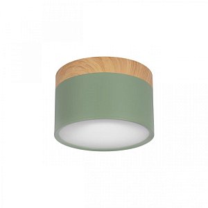 Накладной светильник Loft IT Grape 10162 Green