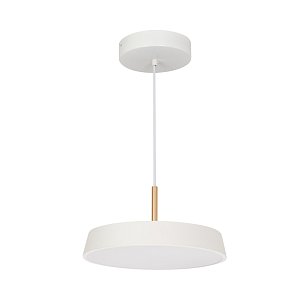 Подвесной светильник Arlight SP-Elegant-R300-17W Warm3000 033914