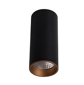 Влагозащищенный светильник LeDron SLC7392/12W-BG 00000013115